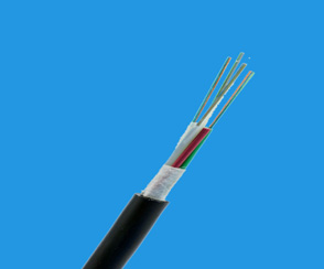 1542092953421377.jpg 未標題-1.jpg