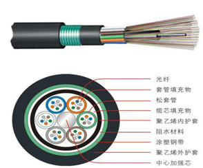 1542094295313544.jpg 未標題-1.jpg