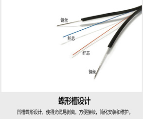 1542095914177243.jpg 未標-1.jpg