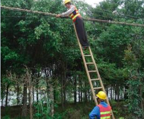 1542245593156791.png 053c6343500362c470ebdc84d9cdba8.png