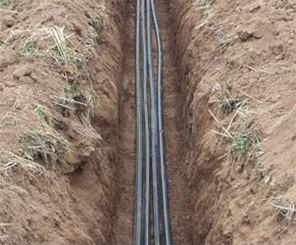 1562825607293066.jpg 1562825607293066.jpg