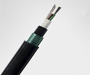 1563523002964100.jpg GYFTY53.jpg