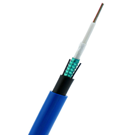 1583470263831206.jpg mgxtsv.jpg